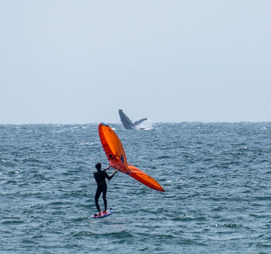 kitesurfing windsurfing yacht luxury ocean